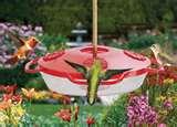 photos of Bird Feeders Plus photos of Bird Feeders Plus