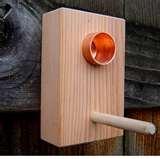 Bird Feeder Peanut Butter Bird Feeder Peanut Butter