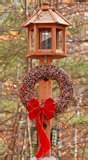 images of Bird Feeders Gelatin images of Bird Feeders Gelatin