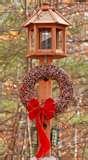 images of Bird Feeders Gelatin