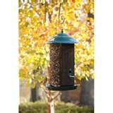 Bird Feeder Nyjer Seed images