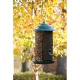 Bird Feeder Nyjer Seed images Bird Feeder Nyjer Seed images
