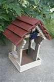 images of Bird Feeder American images of Bird Feeder American
