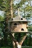 Bird Feeder American