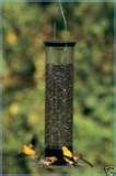 Bird Feeders Tipper images