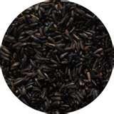 Bird Feeder Nyjer Seed photos Bird Feeder Nyjer Seed photos