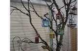 Bird Feeders Tipper photos Bird Feeders Tipper photos