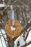 Bird Feeders Gelatin pictures