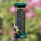 pictures of Bird Feeder Nyjer Seed pictures of Bird Feeder Nyjer Seed