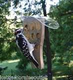 Bird Feeder Peanut Butter