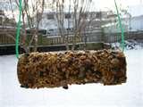 Bird Feeder Peanut Butter images