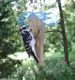 Bird Feeder Peanut Butter