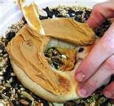 Bird Feeder Peanut Butter Bird Feeder Peanut Butter