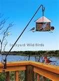 Bird Feeder My Deck images Bird Feeder My Deck images
