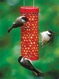 Bird Feeder Wbu pictures Bird Feeder Wbu pictures