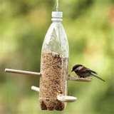 Bird Feeders From Soda Bottles images