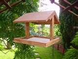 photos of Bird Feeder Custom photos of Bird Feeder Custom