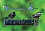 images of Bird Feeders By Duncraft images of Bird Feeders By Duncraft