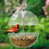 pictures of Bird Feeder Custom pictures of Bird Feeder Custom