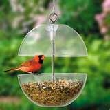 pictures of Bird Feeder Custom