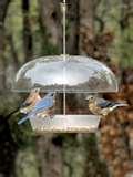 pictures of Bird Feeder Wbu pictures of Bird Feeder Wbu