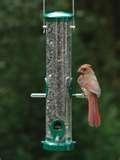 pictures of Bird Feeder Wbu pictures of Bird Feeder Wbu