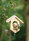 pictures of Bird Feeder Apples