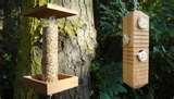 images of Hanging Bird Feeders From Trees