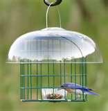 Bird Feeders By Duncraft pictures Bird Feeders By Duncraft pictures