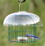 Bird Feeders By Duncraft pictures