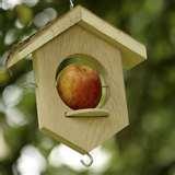 pictures of Bird Feeder Apples