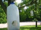 Hanging Bird Feeders From Trees photos