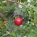 pictures of Bird Feeder Apples pictures of Bird Feeder Apples