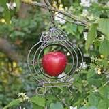 pictures of Bird Feeder Apples