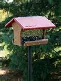 Bird Feeder Wbu photos Bird Feeder Wbu photos