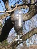 Bird Feeder Wars pictures Bird Feeder Wars pictures