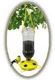 Bird Feeders From Soda Bottles Bird Feeders From Soda Bottles