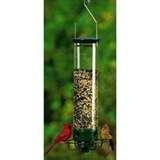 photos of Yankee Bird Feeder Squirrel photos of Yankee Bird Feeder Squirrel