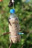 Bird Feeders From Soda Bottles photos