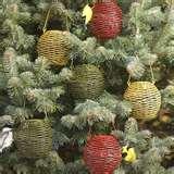 Hanging Bird Feeders From Trees images Hanging Bird Feeders From Trees images