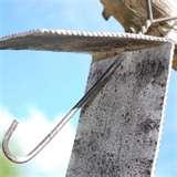 Bird Feeder Apples images Bird Feeder Apples images