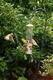 Bird Feeder Wars photos Bird Feeder Wars photos