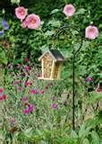 Bird Feeder Buy photos Bird Feeder Buy photos
