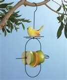 pictures of Bird Feeder Fruit
