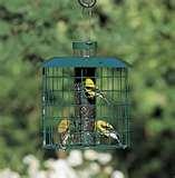 images of Bird Feeders By Duncraft