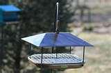 photos of Bird Feeders By Duncraft photos of Bird Feeders By Duncraft