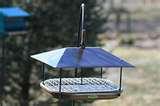 photos of Bird Feeders By Duncraft