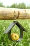 Bird Feeder Apples images