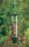 Yankee Bird Feeder Squirrel