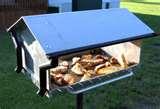 pictures of Bird Feeder Buy pictures of Bird Feeder Buy